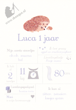Mijlpalenposter